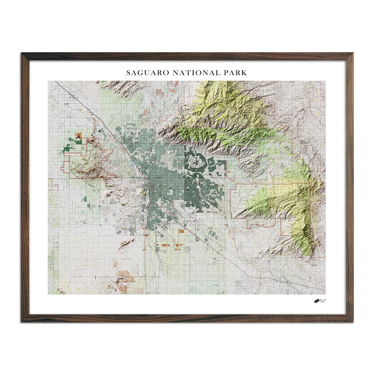 Saguaro Shaded Relief Map - Muir Way - Relief Series