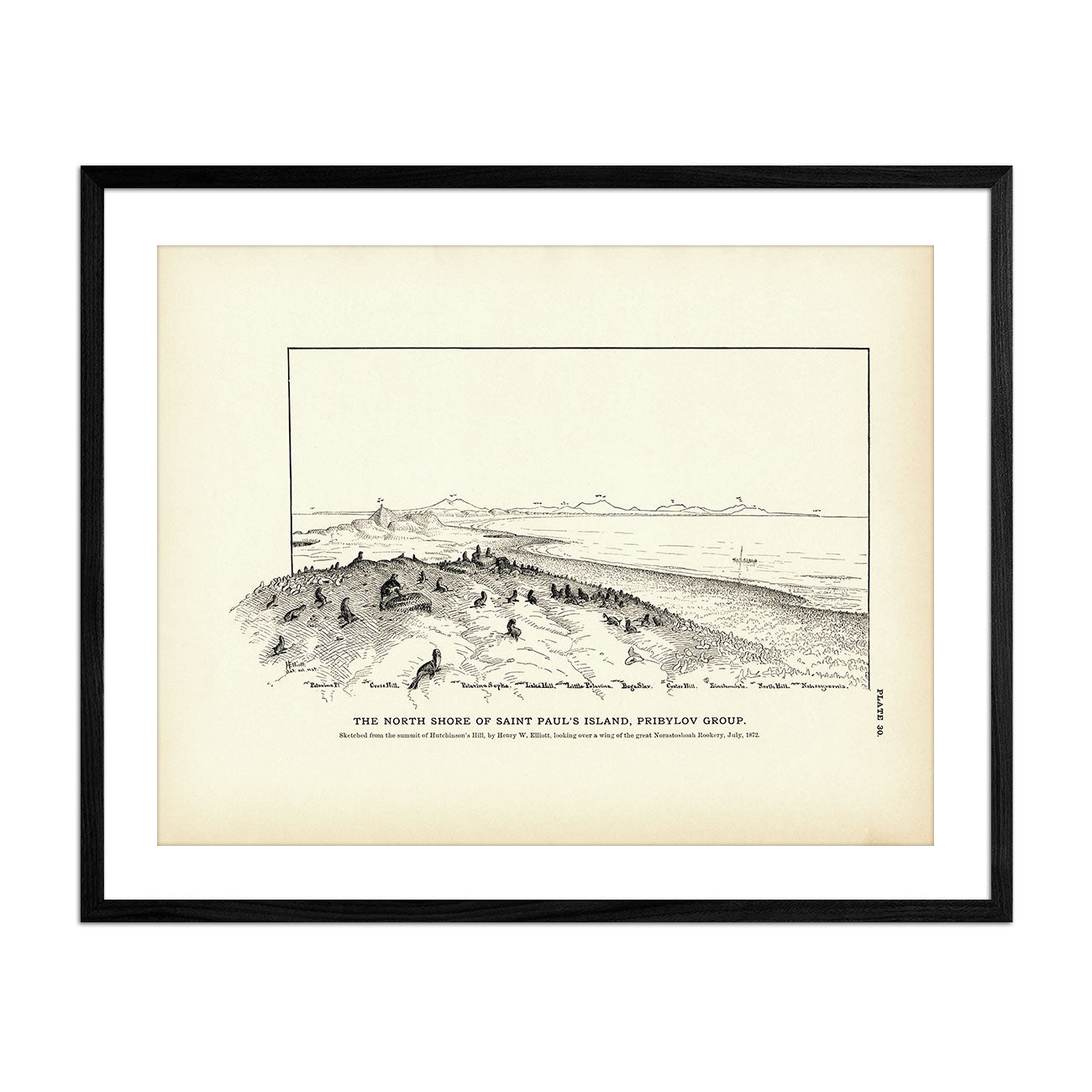 North Shore of Saint Paul's Island Art Print - Muir Way - Fisheries