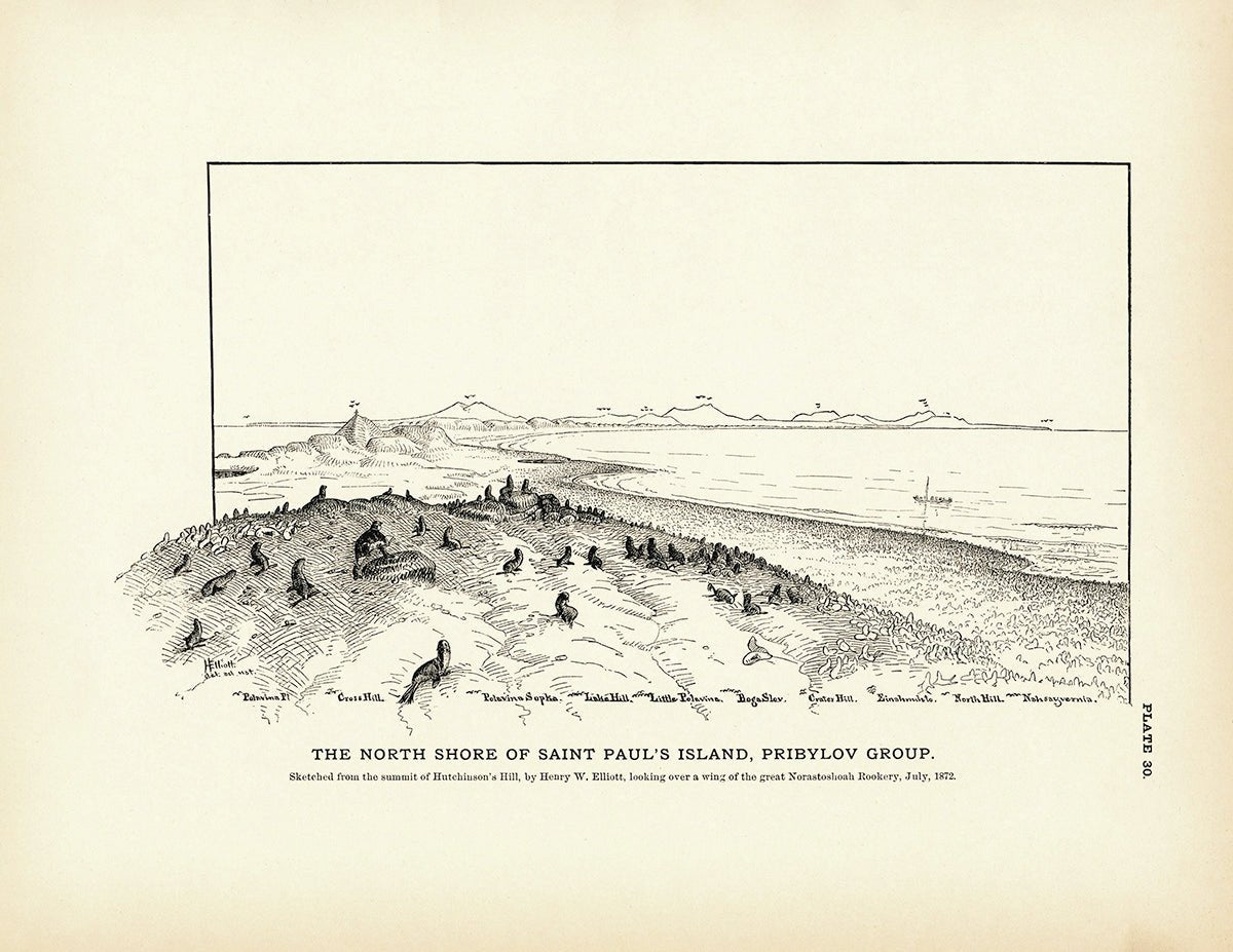 North Shore of Saint Paul's Island Art Print - Muir Way - Fisheries