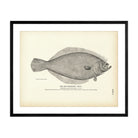 San Francisco "Sole" Art Print - Muir Way - Fisheries