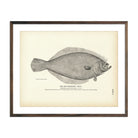 San Francisco "Sole" Art Print - Muir Way - Fisheries
