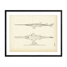 Sawfish Art Print - Muir Way - Fisheries