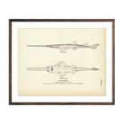 Sawfish Art Print - Muir Way - Fisheries