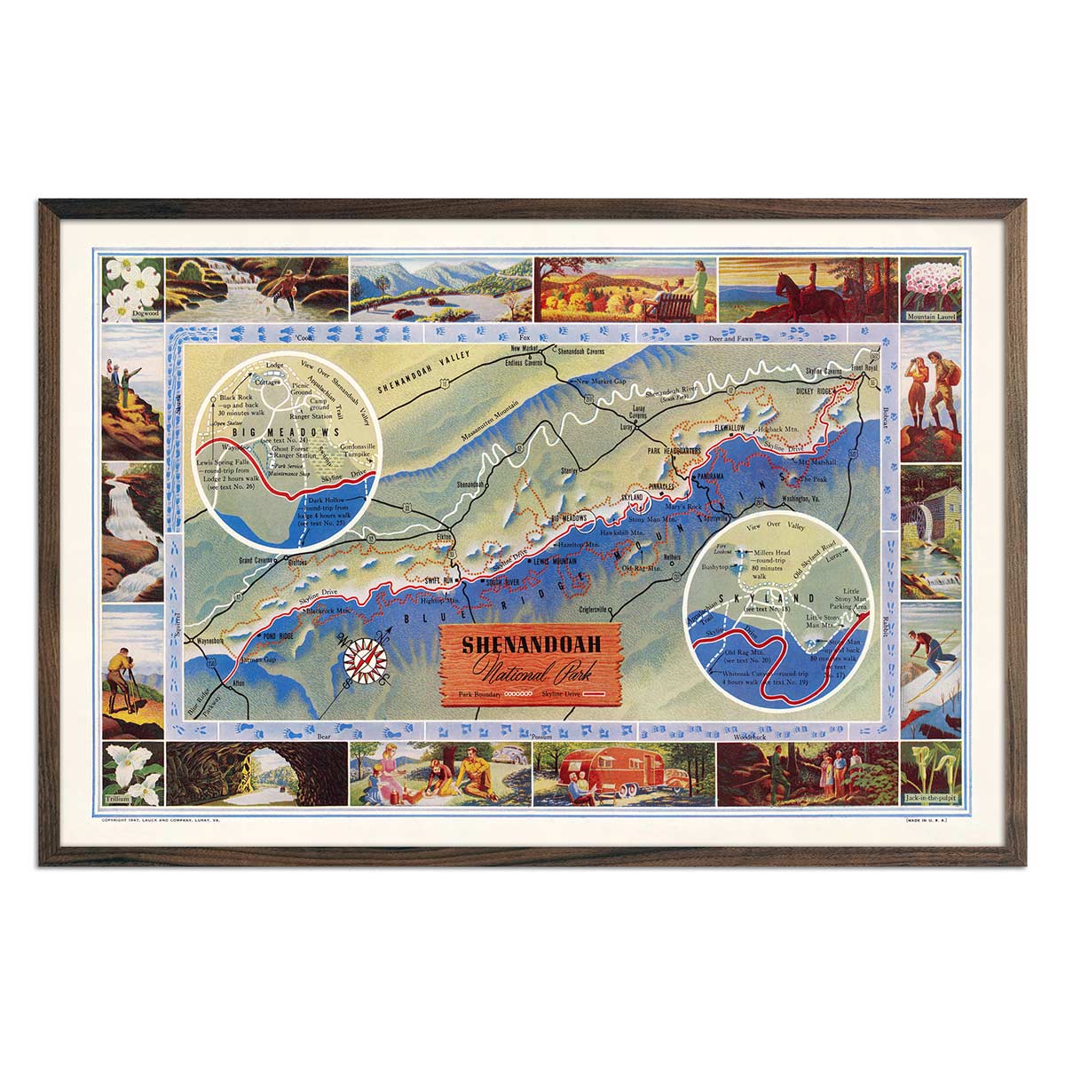 Shenandoah National Park Map 1947 - Muir Way - Vintage Map