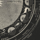 Signs of the Zodiac 1850 - Muir Way - Vintage Map