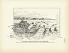 Fur - Seals Sporting Around the "Bidarrah" Art Print - Muir Way - Fisheries