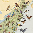State Birds and Flowers of USA Map - 1965 - Muir Way - Vintage Map