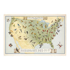 State Birds and Flowers of USA Map - 1965 - Muir Way - Vintage Map