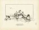 Steller's Sea Lion Art Print - Muir Way - Fisheries