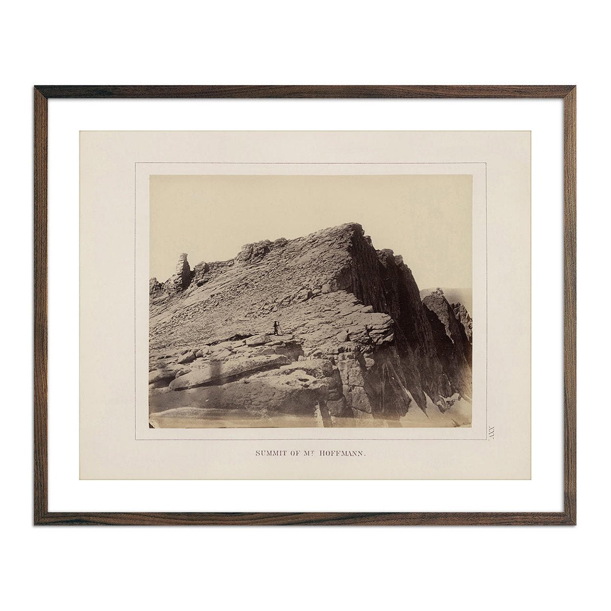 Summit of Mt. Hoffmann, Yosemite 1868 - Muir Way - Photograph