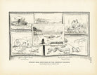 Sundry Seal Sketches Art Print - Muir Way - Fisheries