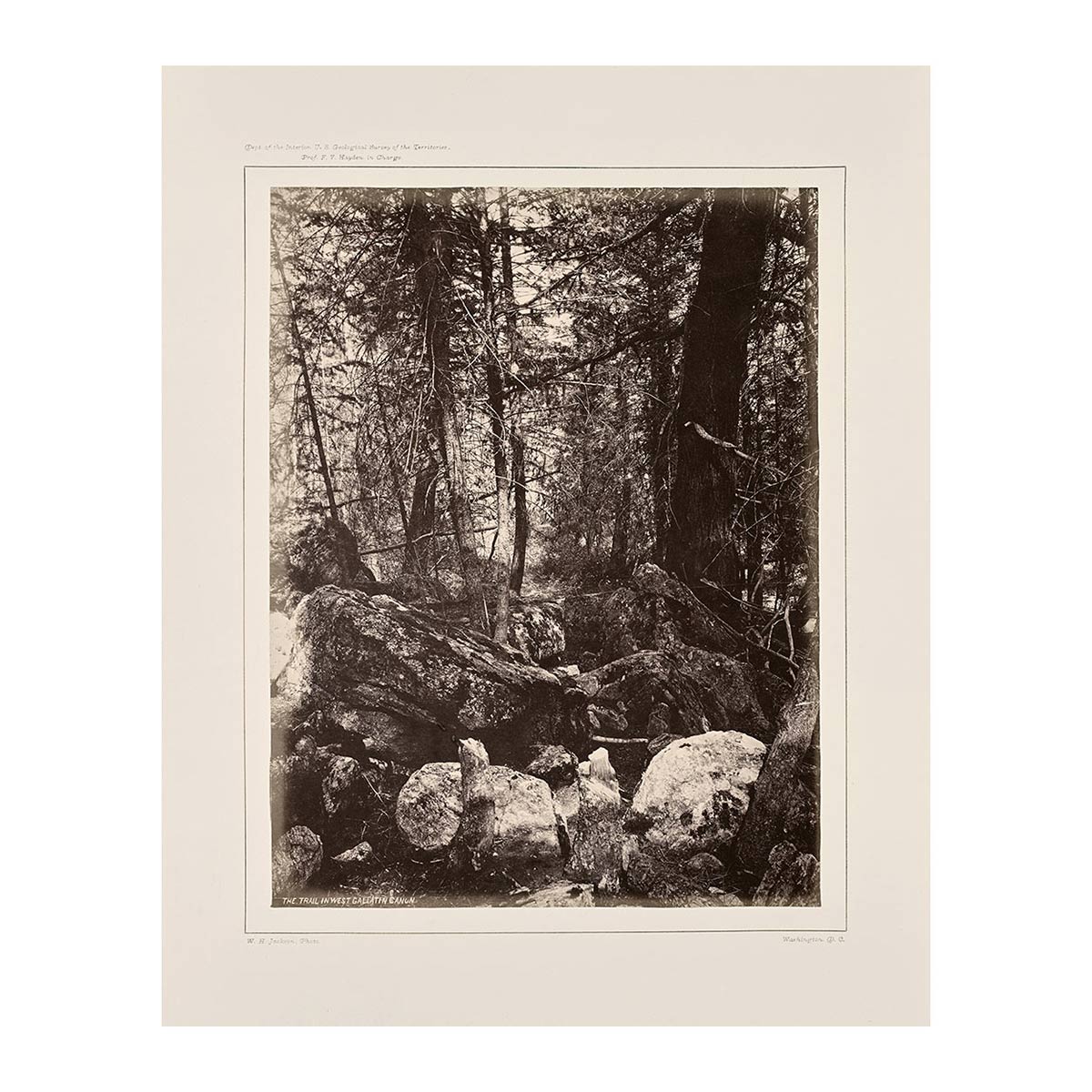 The Trail in the Woods, Gallatin Canyon, Yellowstone 1873 - Muir Way - Photograph