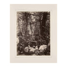 The Trail in the Woods, Gallatin Canyon, Yellowstone 1873 - Muir Way - Photograph