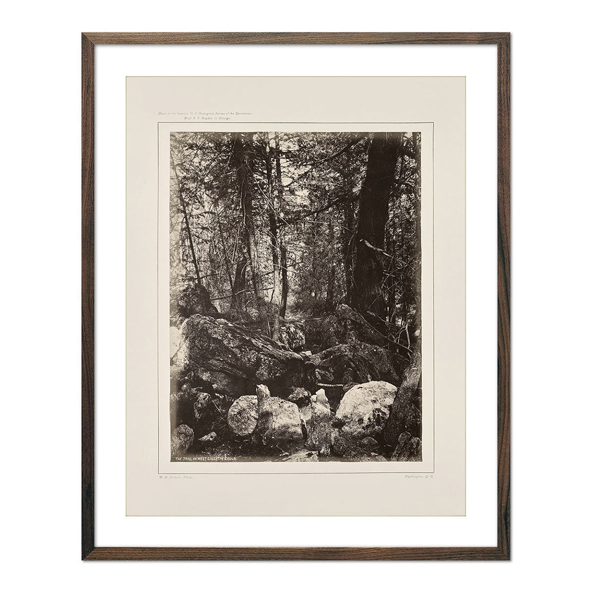 The Trail in the Woods, Gallatin Canyon, Yellowstone 1873 - Muir Way - Photograph