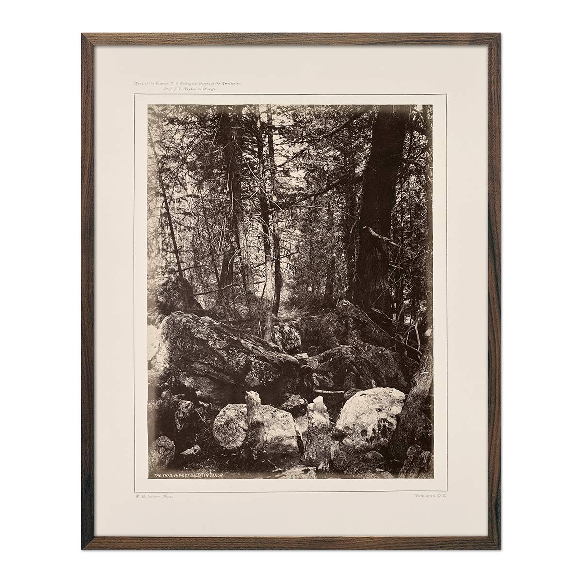 The Trail in the Woods, Gallatin Canyon, Yellowstone 1873 - Muir Way - Photograph