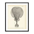 Torpedo Art Print - Muir Way - Fisheries