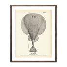 Torpedo Art Print - Muir Way - Fisheries
