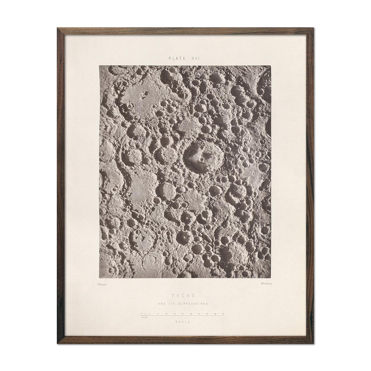1874 Tycho Moon Crater Print - Muir Way - Astronomy