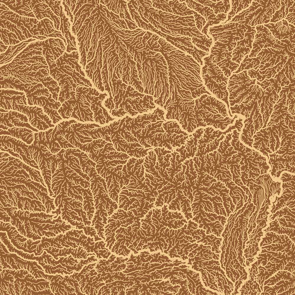 USA Hydrological Map – Desert Tan - Muir Way -