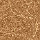 USA Hydrological Map – Desert Tan - Muir Way -