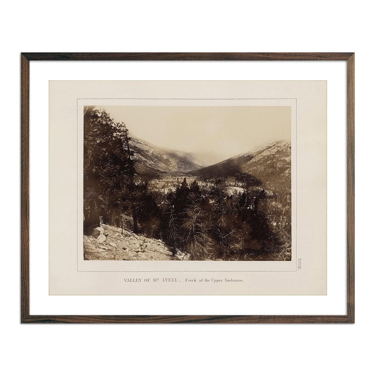 Valley of Mt. Lyell, Yosemite 1868 - Muir Way - Photograph