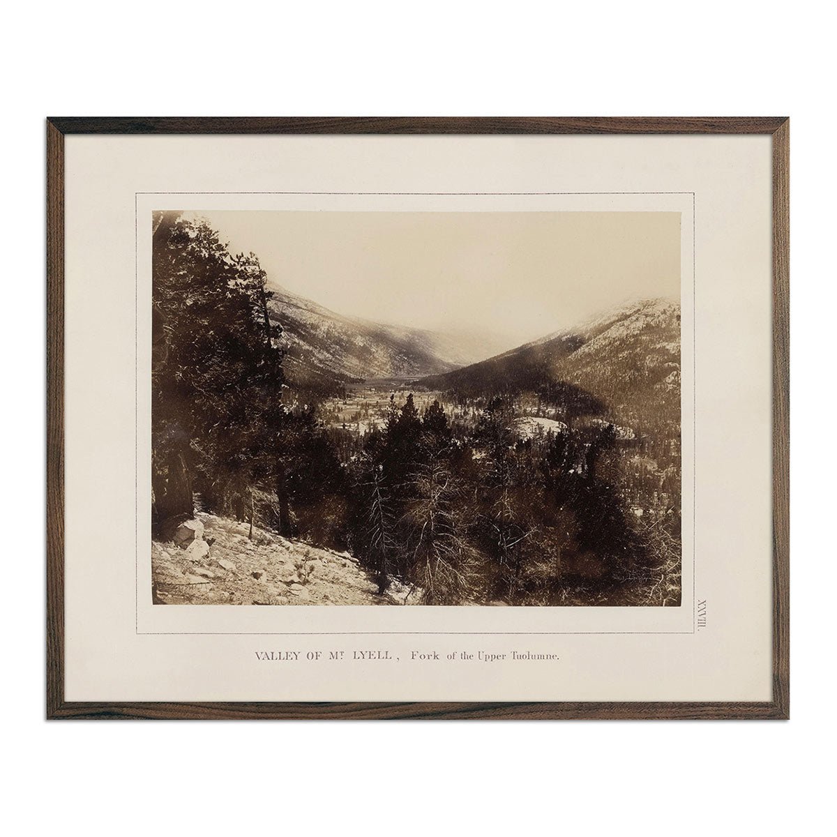 Valley of Mt. Lyell, Yosemite 1868 - Muir Way - Photograph