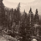 View Near Mount Blackmore, Yellowstone 1873 - Muir Way - Photograph