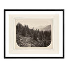 View Near Mount Blackmore, Yellowstone 1873 - Muir Way - Photograph