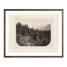 View Near Mount Blackmore, Yellowstone 1873 - Muir Way - Photograph