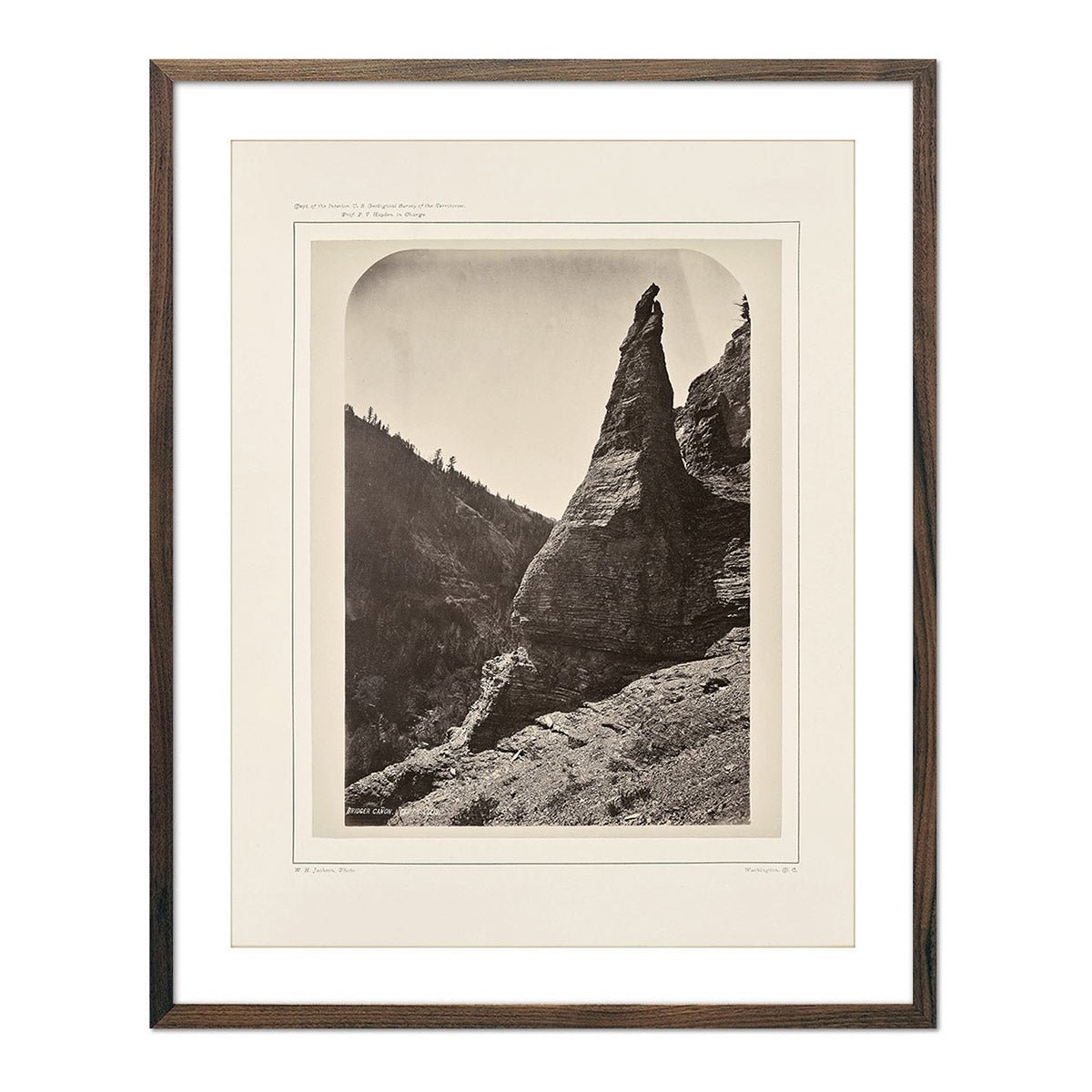 View in Bridger Canyon, Near Fort Ellis, Yellowstone 1873 - Muir Way - Photograph