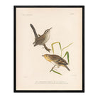 Wren and Sparrow Art Print - Muir Way - Animals