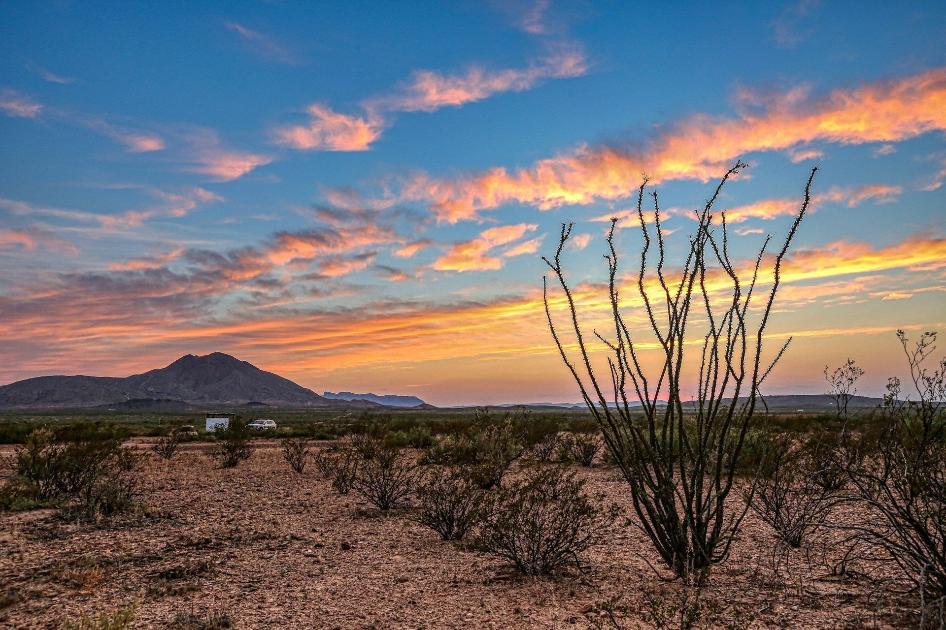 The 7 Regions Of Texas: Exploring The Lone Star State - Muir Way