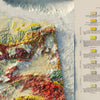 Alaska Geological 1957 Shaded Relief Map