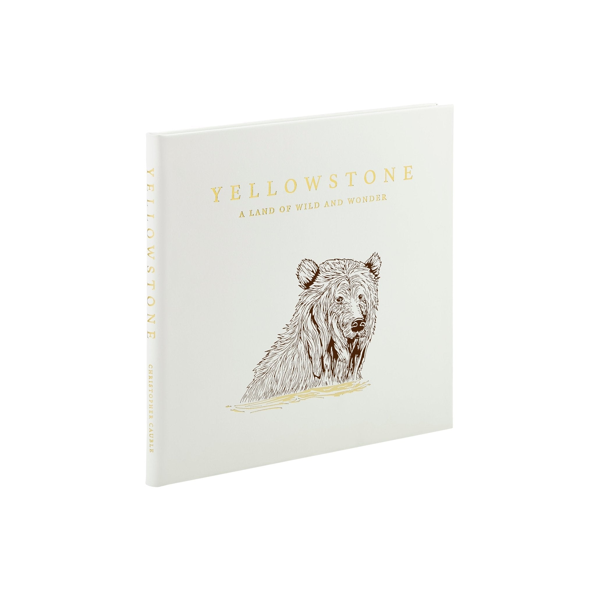 Yellowstone: A Land of Wild and Wonder - Muir Way - Books