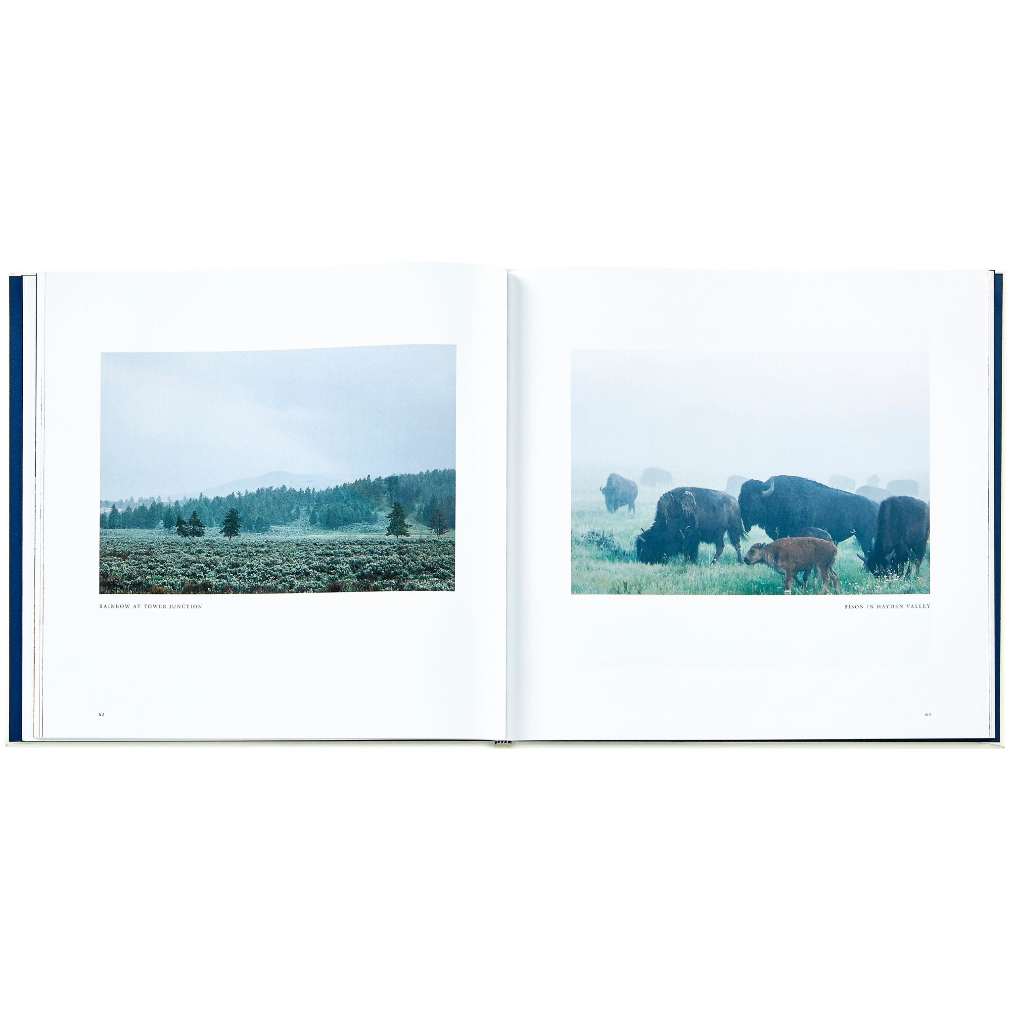 Yellowstone: A Land of Wild and Wonder - Muir Way - Books