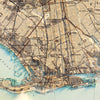 Brooklyn, NY 1895 Shaded Relief Map