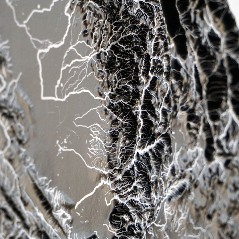California Hydrological - 3D Raised Relief Map - Muir Way - 3D