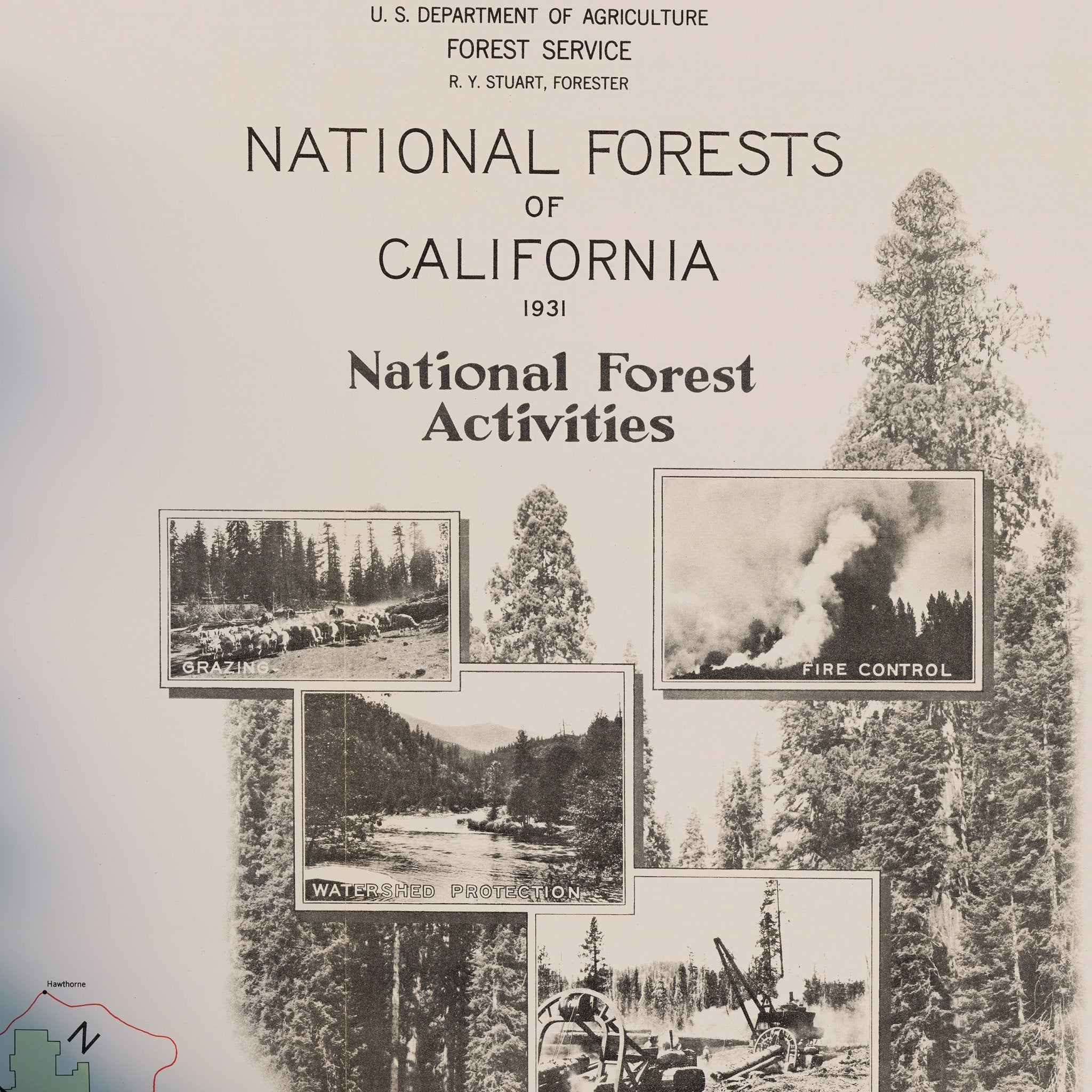 California 1931 National Forests Shaded Relief Map - Muir Way - Vintage Relief