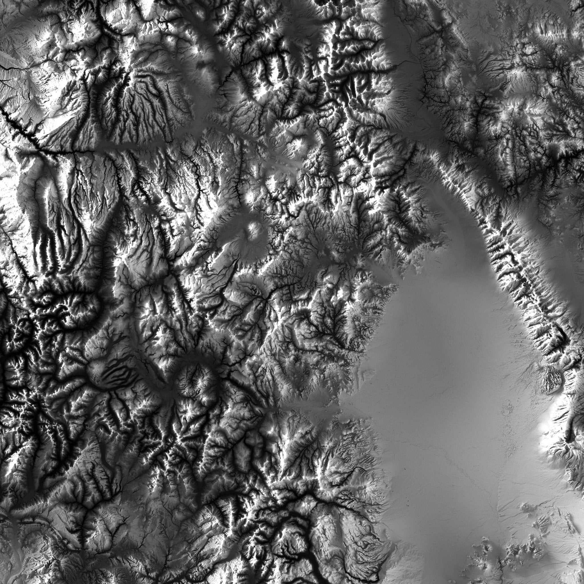 Colorado Elevation Map - Muir Way - Elevation