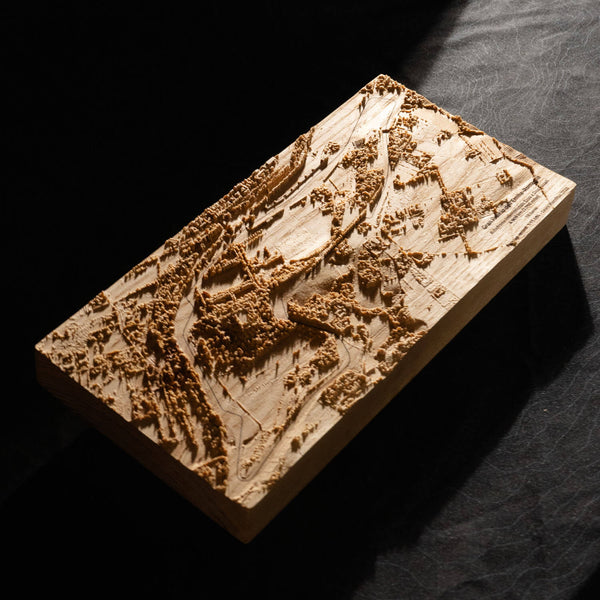 Custom Wood Carved Map — gallery image 4