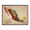 Vintage Mexico Relief Map - 1921