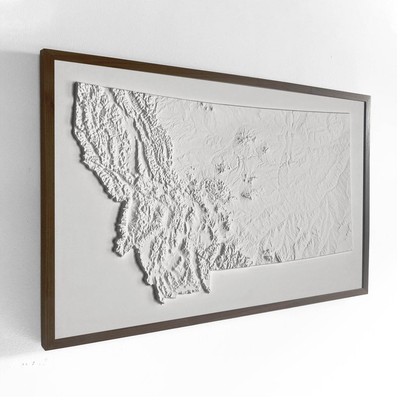 Montana 3D Raised Relief Map - Muir Way - 3D