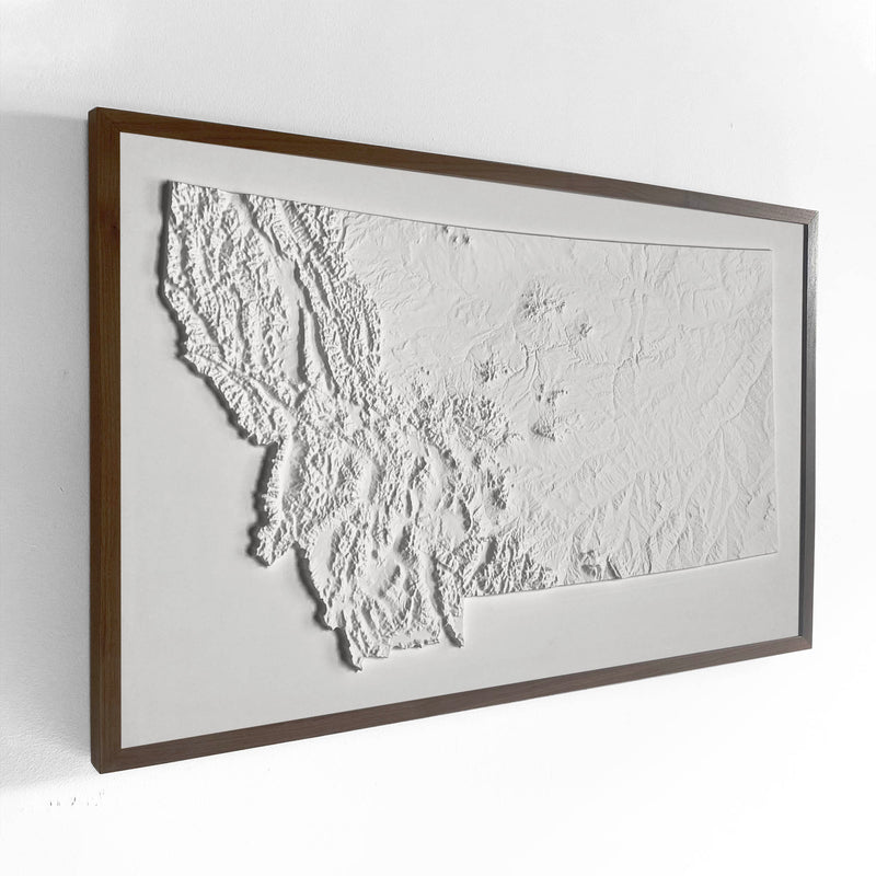 Montana 3D Raised Relief Map