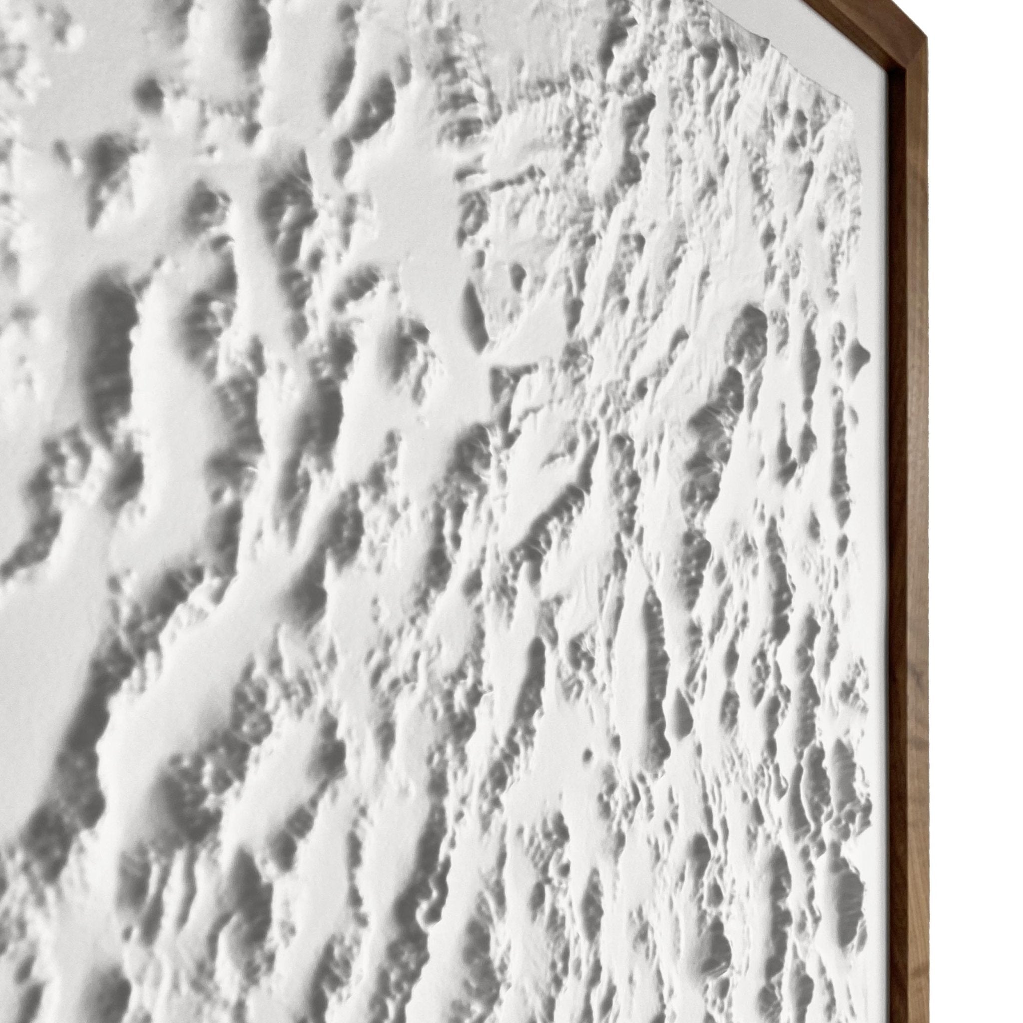 Nevada 3D Raised Relief Map - Muir Way - 3D