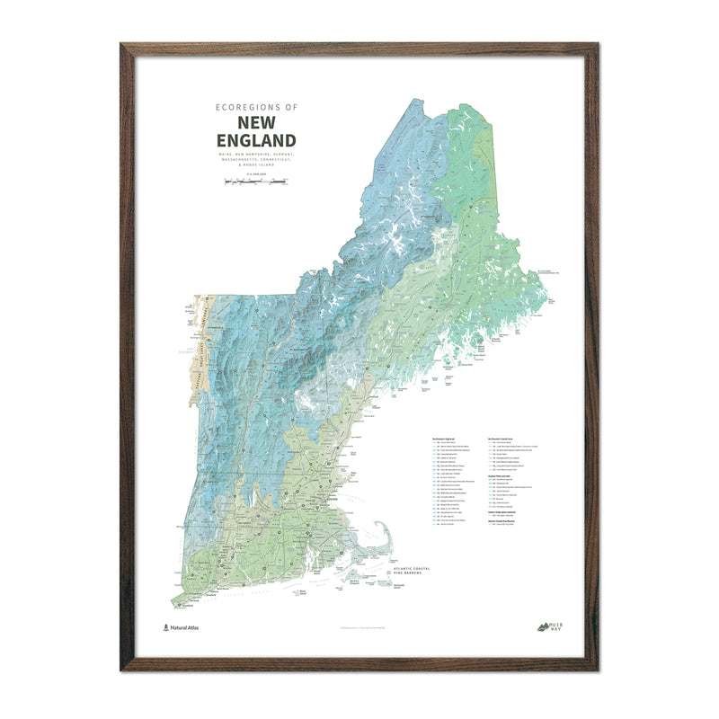 New England Ecoregions Shaded Relief Map - Muir Way - Natural Atlas