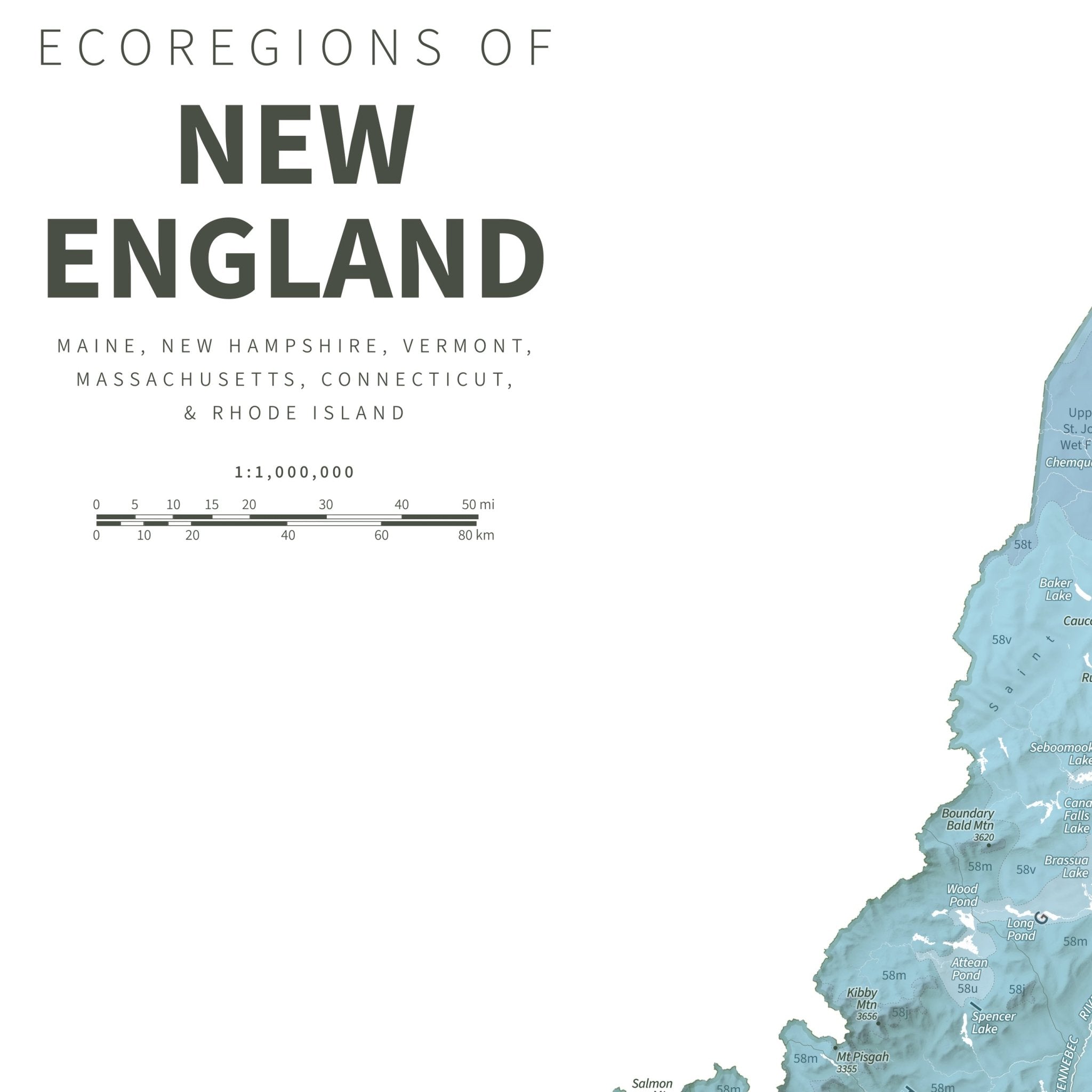 New England Ecoregions Shaded Relief Map - Muir Way - Natural Atlas