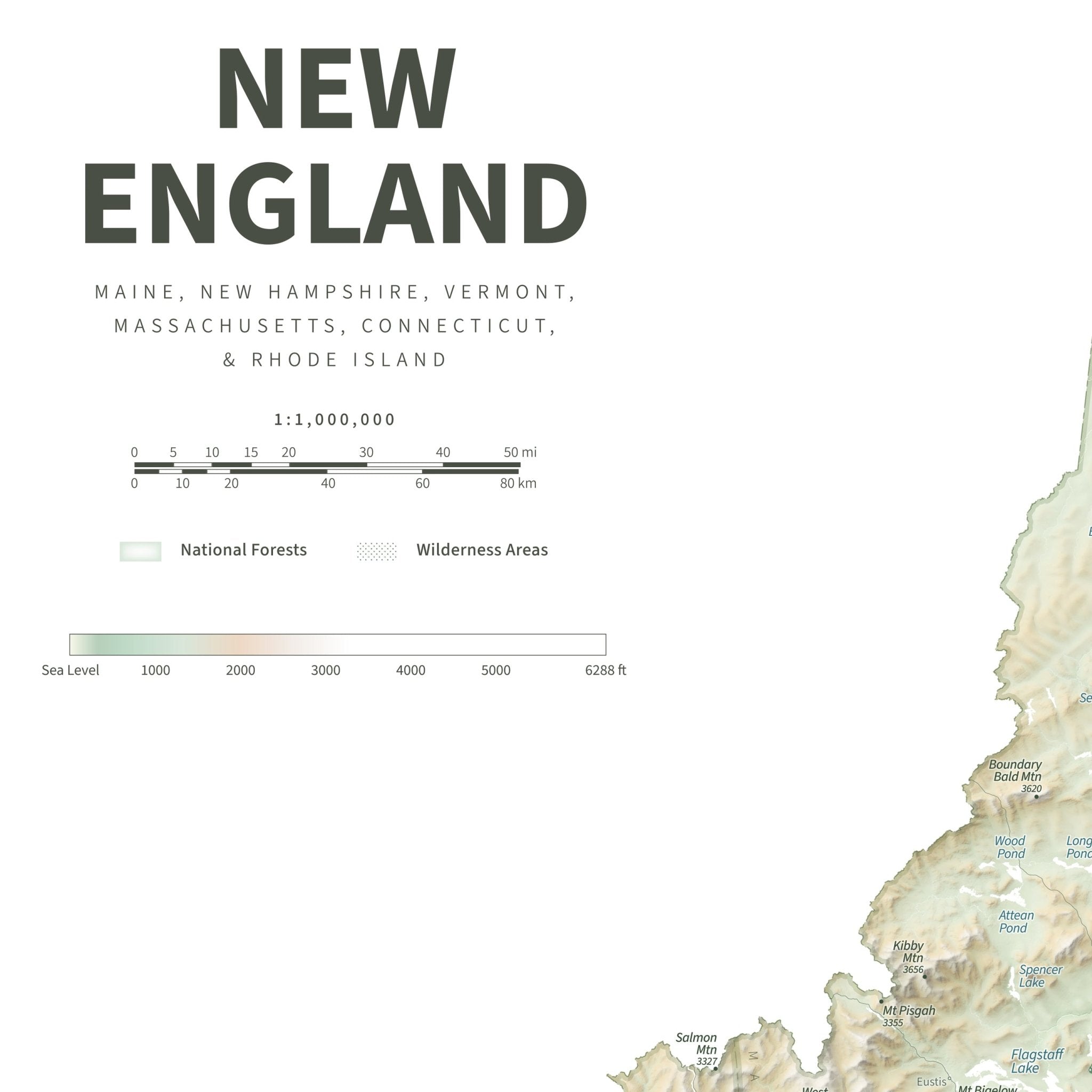 New England Physical Shaded Relief Map - Muir Way - Natural Atlas