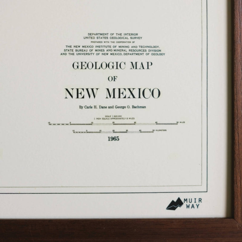New Mexico 1965 3D Raised Relief Map - Muir Way - 3D