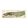 Vintage New York City Relief Map - 1874