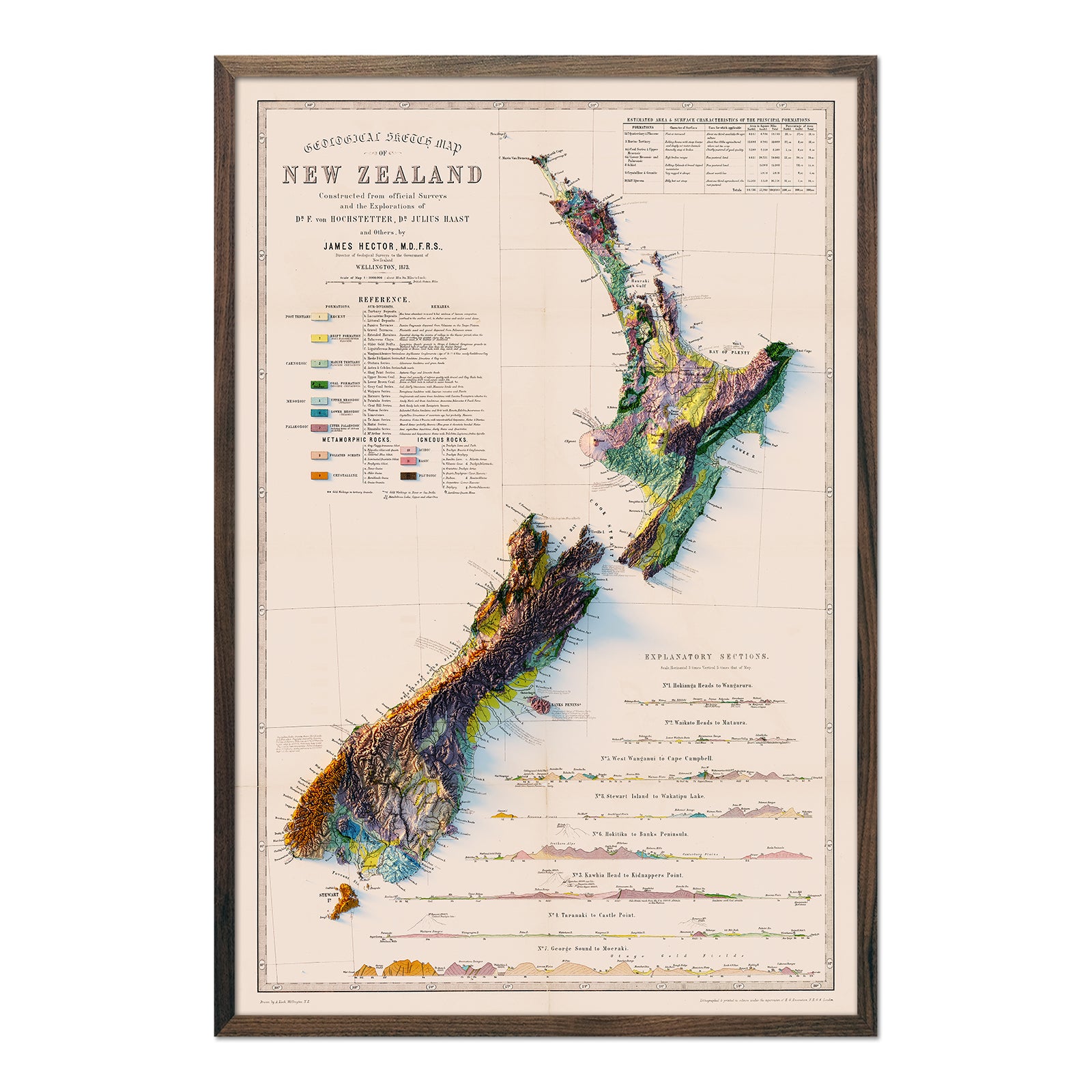 Vintage New Zealand Relief Map - 1873